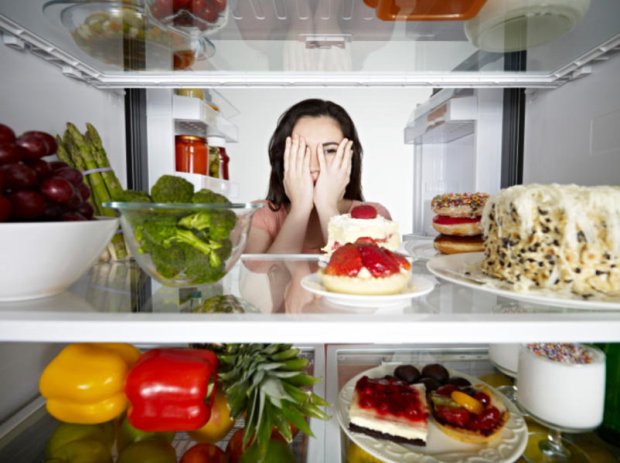 food fridge
